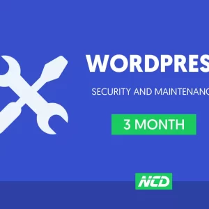 WordPress Security and Maintenance - 3 Month Plan