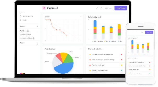 SEO campaign performance analytics and traffic growth